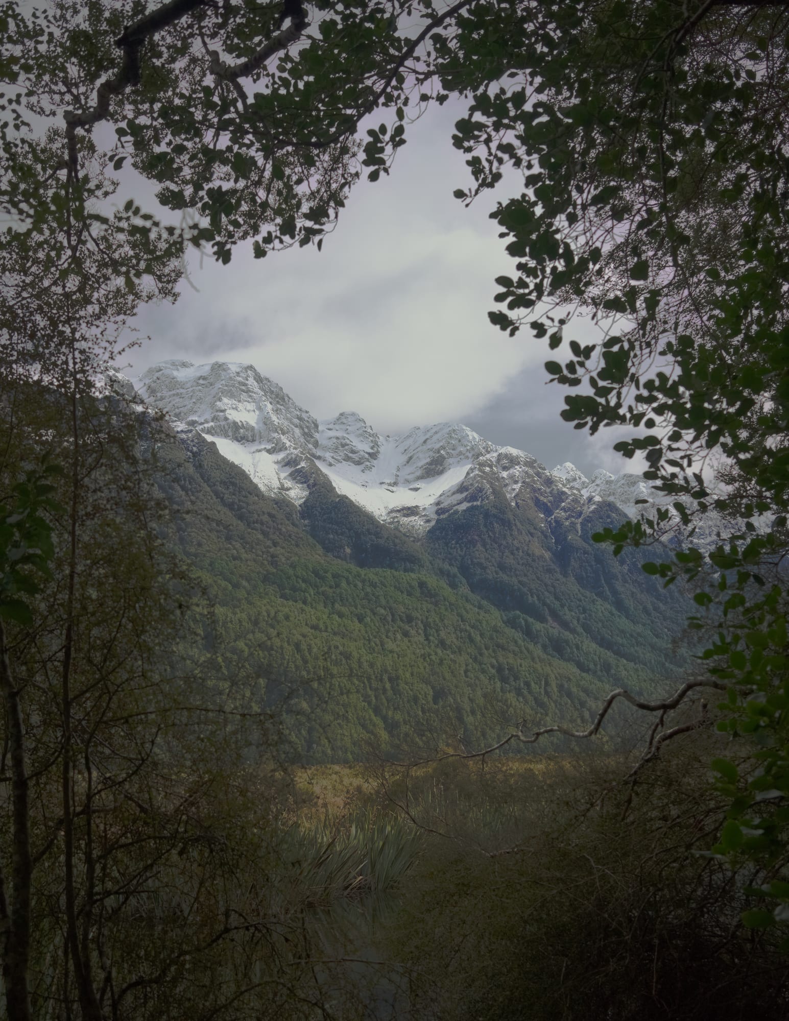 dsc09316